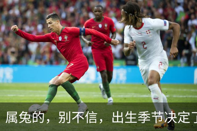 属兔的，别不信，出生季节决定了你是“伺候人”还是“被人伺候”