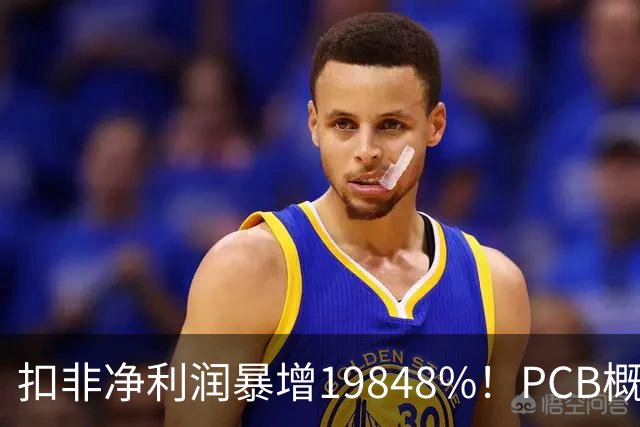 扣非净利润暴增19848%！PCB概念股，前十大股东新增神秘自然人
