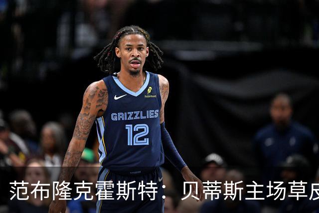 范布隆克霍斯特：贝蒂斯主场草皮不理想